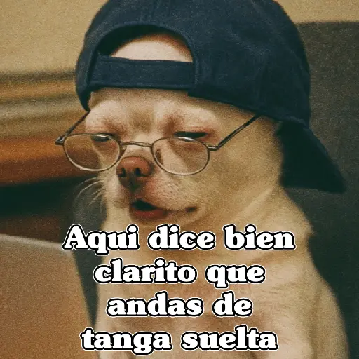 🧿PerritosChidos 3🐶