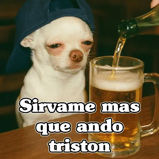 🧿PerritosChidos 3🐶