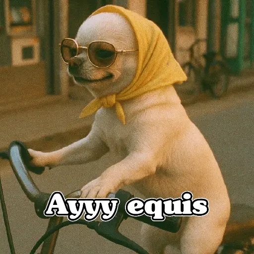 🧿PerritosChidos 3🐶
