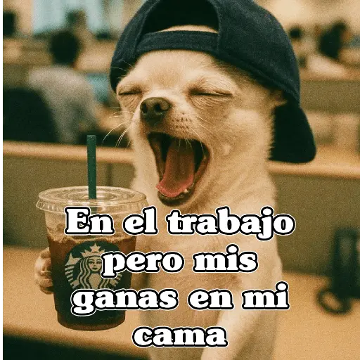 🧿PerritosChidos 3🐶