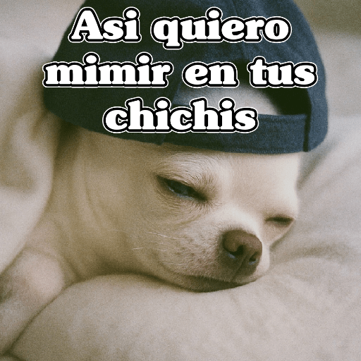 🧿PerritosChidos 3🐶 preview