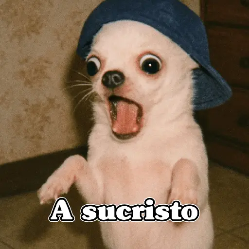 🧿PerritosChidos 3🐶