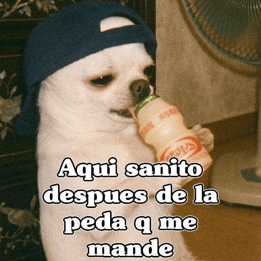 🧿PerritosChidos 3🐶 preview