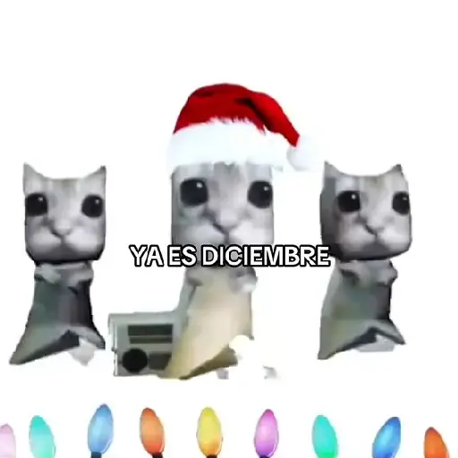 Llego DICIEMBRE 🗣🎅🎄