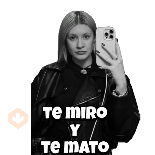 Mis pegatinas sticker 22