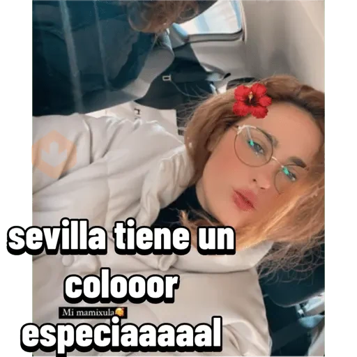 Mis pegatinas sticker 25