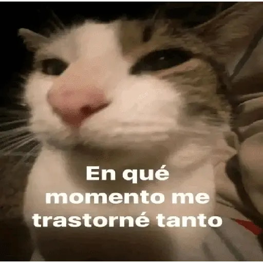 Mis pegatinas
