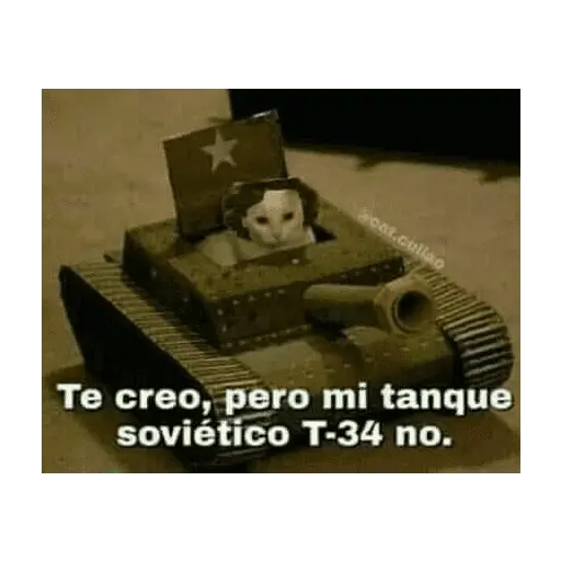 problema tuyo papi