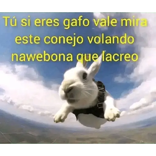 problema tuyo papi