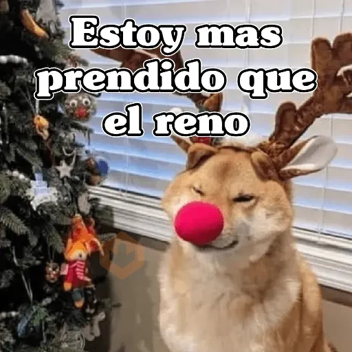 🧿Memes en tendencia🎄✨😂 sticker 20