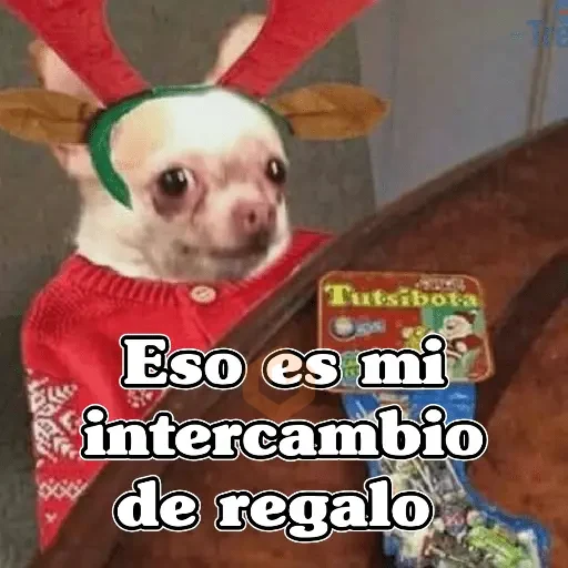 🧿Memes en tendencia🎄✨😂 sticker 14