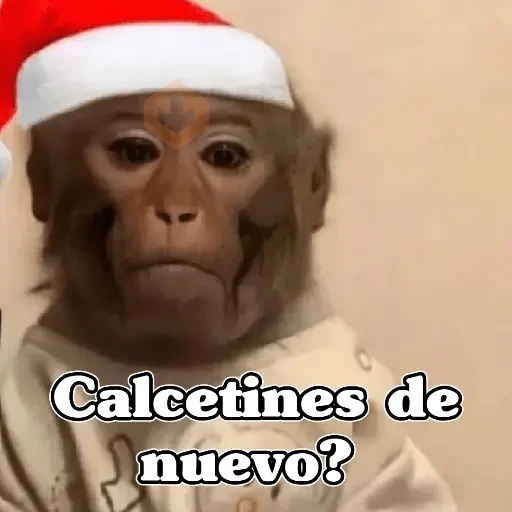 🧿Memes en tendencia🎄✨😂 sticker 16
