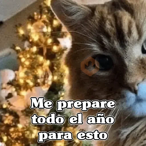 🧿Memes en tendencia🎄✨😂 sticker 15