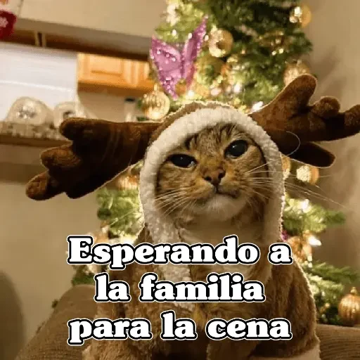 🧿Memes en tendencia🎄✨😂 sticker 17