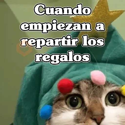 🧿Memes en tendencia🎄✨😂 sticker 18