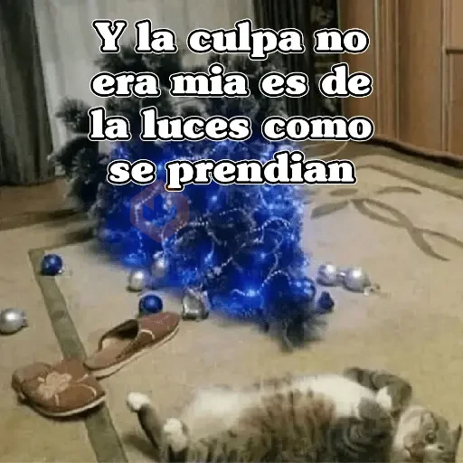 🧿Memes en tendencia🎄✨😂 sticker 12