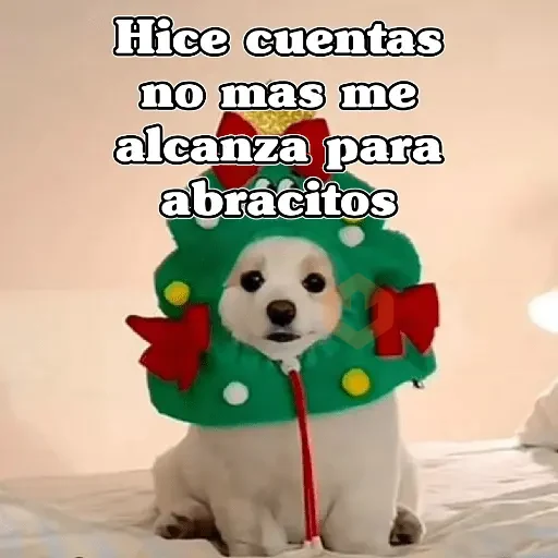 🧿Memes en tendencia🎄✨😂 sticker 21