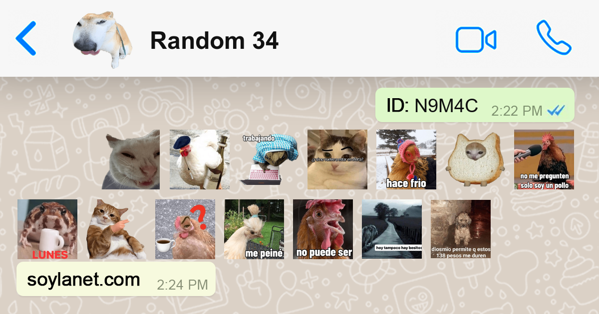 Random 34 🐔 🥵 | Stickers para WhatsApp