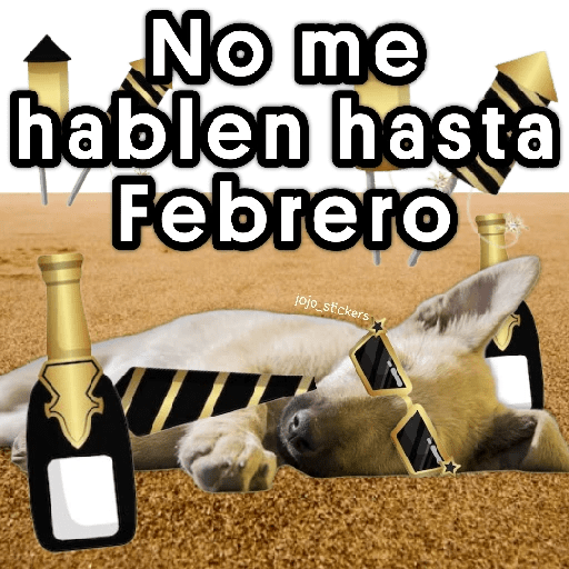 🥂 Año Nuevo 🌟2026🎉 preview