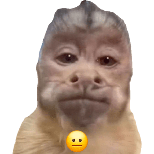 Monitos reacciones🐒🐵 preview