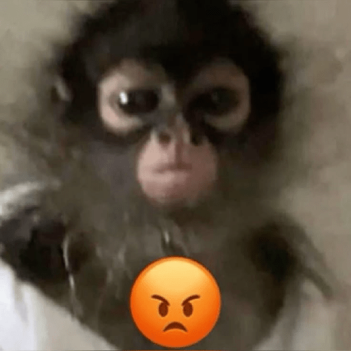 Monitos reacciones🐒🐵 preview