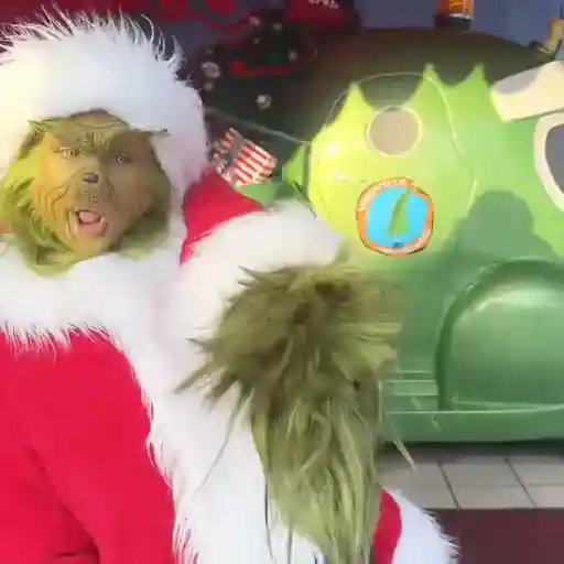 Natal com Grinch 💚 preview