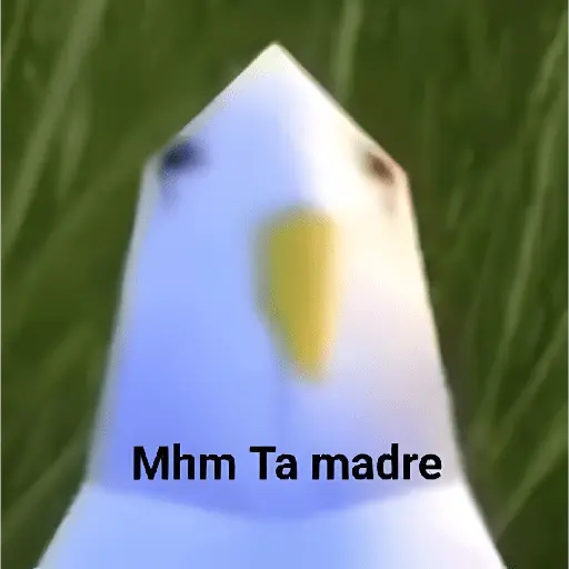 Memes Ramdon 2🔥