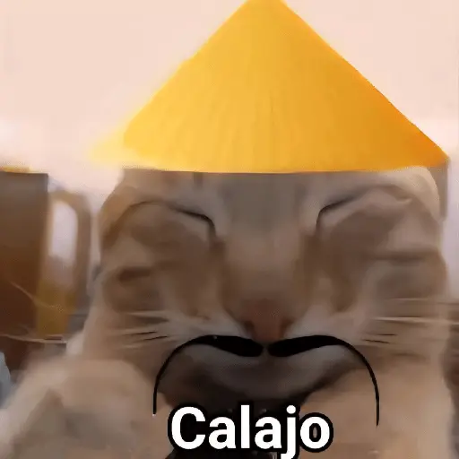 Memes Ramdon 2🔥