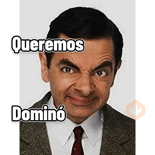 cochino sticker 21
