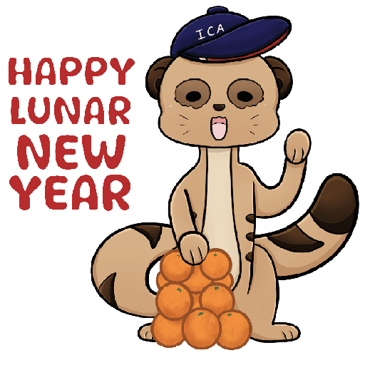 Chinese Lunar New Year 2025 preview