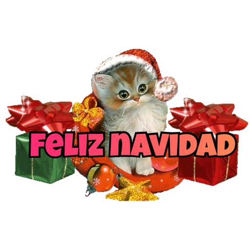 Navideñas Lore Rojas S