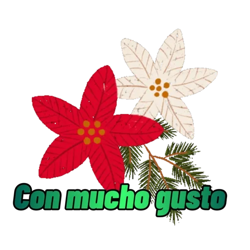 Navideñas Lore Rojas S