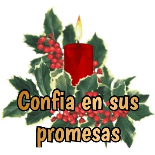 Navideñas Lore Rojas S