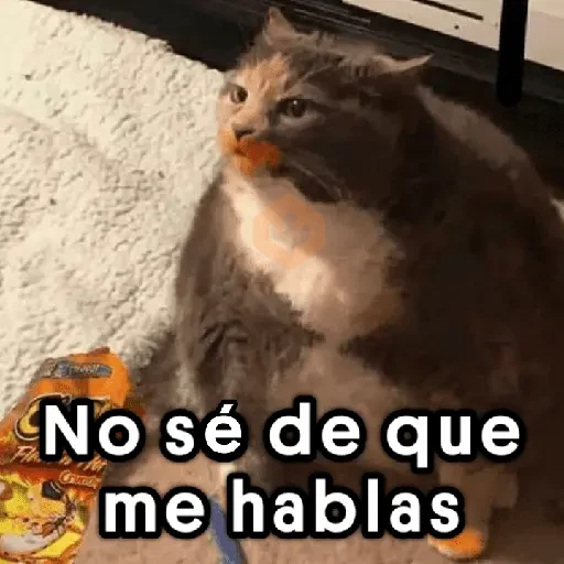 Memes Random 19 ©️ sticker 18