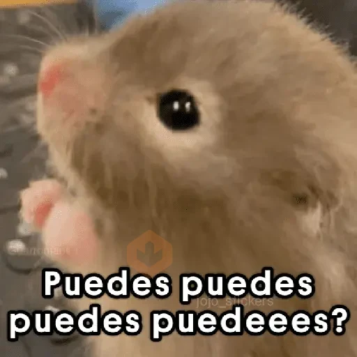 Memes Random 19 ©️ sticker 14