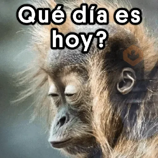 Memes Random 19 ©️ sticker 21