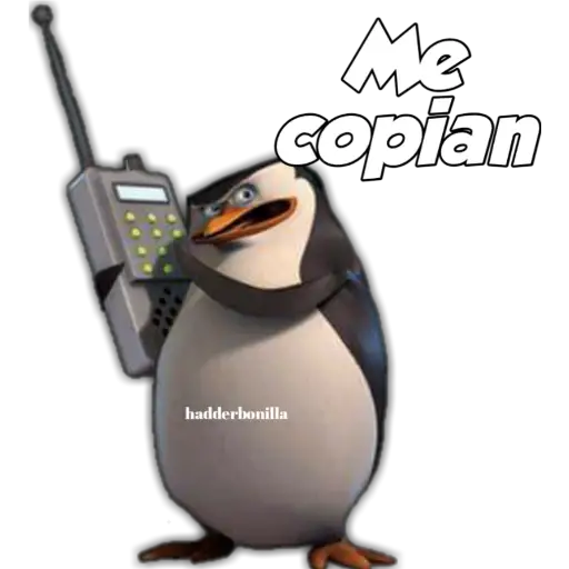 MADAGASCAR 2 
