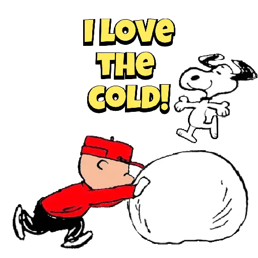 ⋆⁺₊❅.  Frío🥶Cold⋆⁺₊❅.