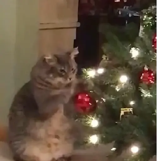 🎄Desde Septiembre 🎵🎁🎄🎅🏻