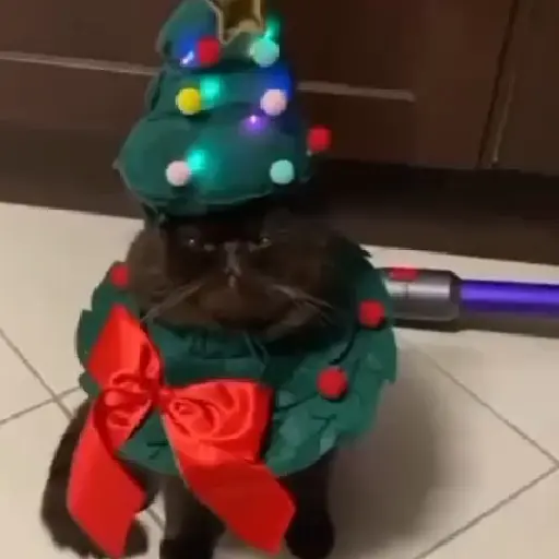 🎄Desde Septiembre 🎵🎁🎄🎅🏻