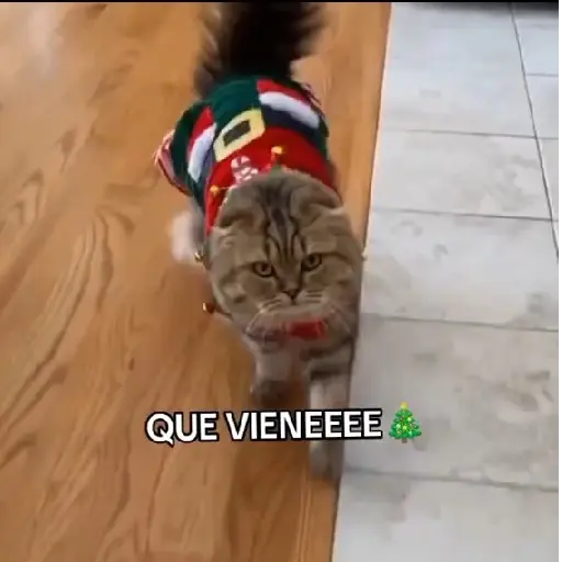 🎄Desde Septiembre 🎵🎁🎄🎅🏻