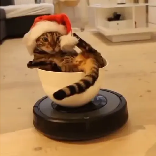 🎄Desde Septiembre 🎵🎁🎄🎅🏻
