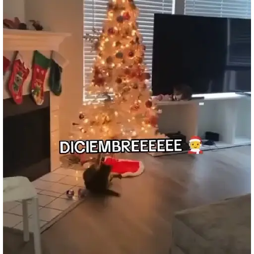 🎄Desde Septiembre 🎵🎁🎄🎅🏻