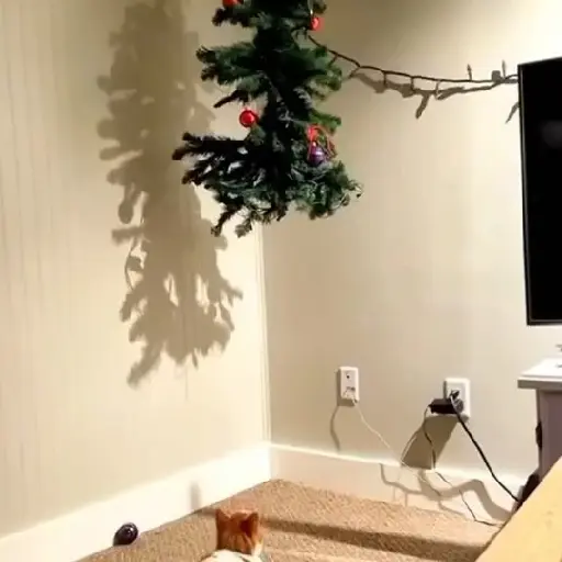 🎄Desde Septiembre 🎵🎁🎄🎅🏻