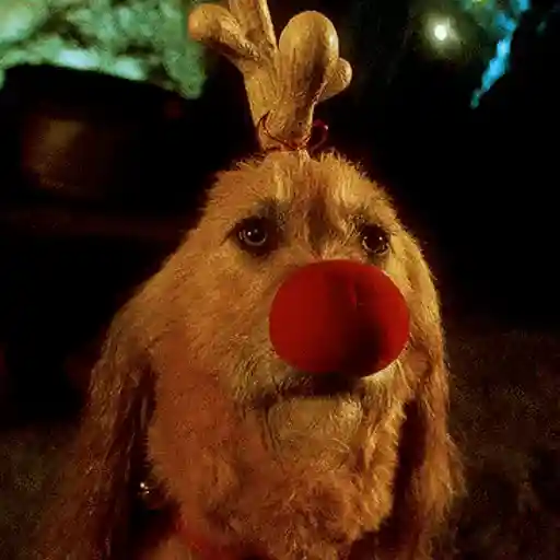 💚El Grinch 💚