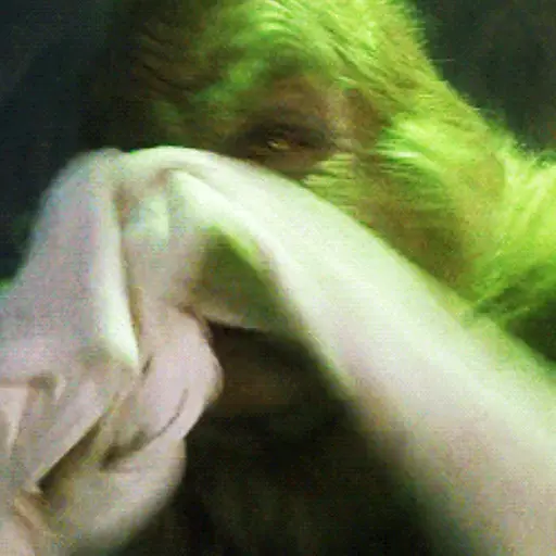 💚El Grinch 💚
