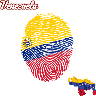 🇻🇪Venezuela en pinta🇻🇪 