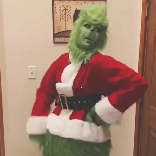  El Grinch ✨💚(tiktok) preview