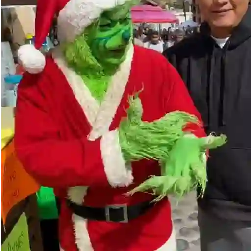  El Grinch ✨💚(tiktok)
