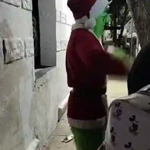  El Grinch ✨💚(tiktok)